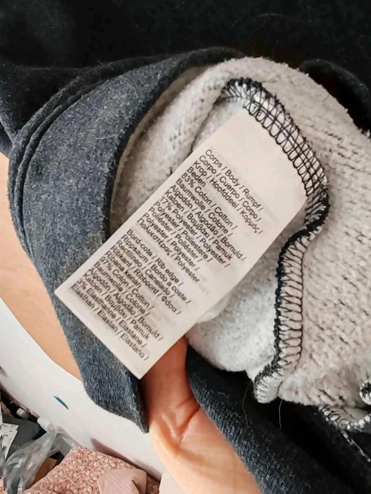 Sweat capuche Lacoste gris