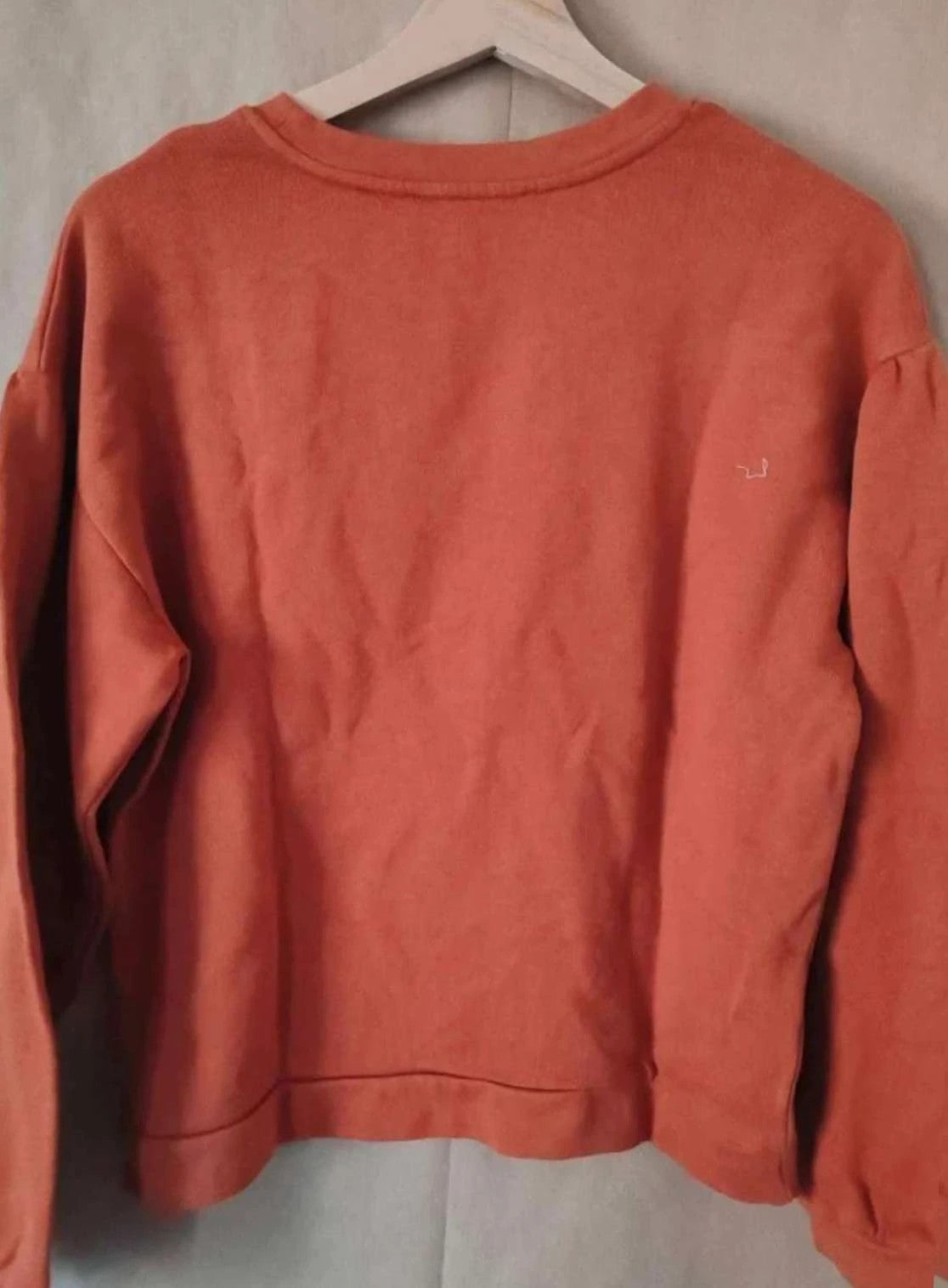 Sweat automnal brodé